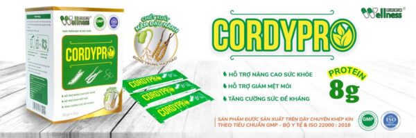 cordypro-thuc-pham-bo-sung-protetin-tu-dong-trung-ha-thao