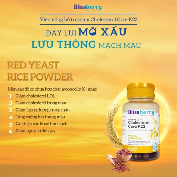 blissberry-cholesterol-care-k22-60-vien-uong-giam-mo-xau