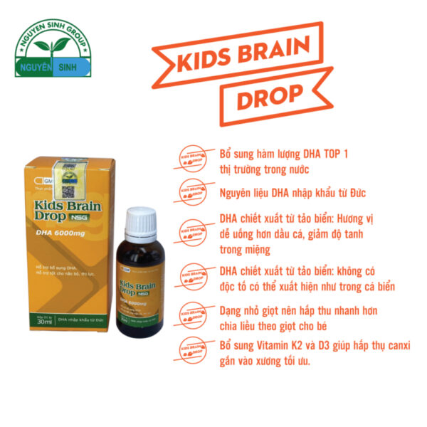 kids-brain-drop-nsg-30ml-thuc-pham-bo-sung-dha-cho-be