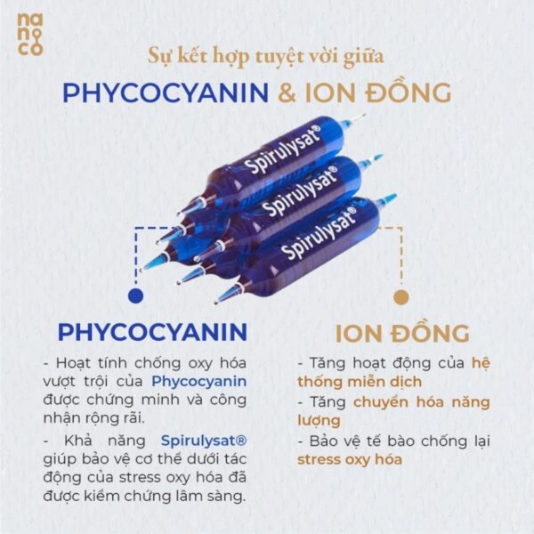 phyco-spirulysat-cuivre-20-ong-thuc-pham-bo-sung-phyco